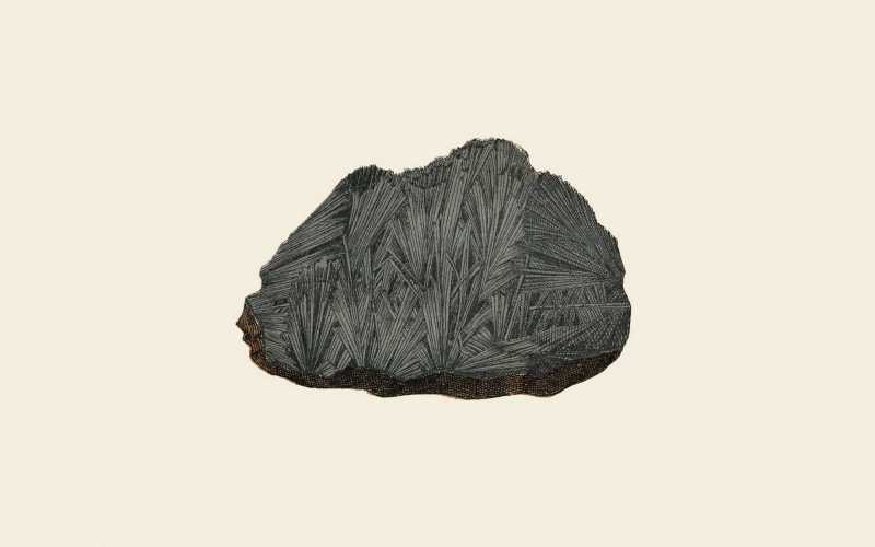 Fossils